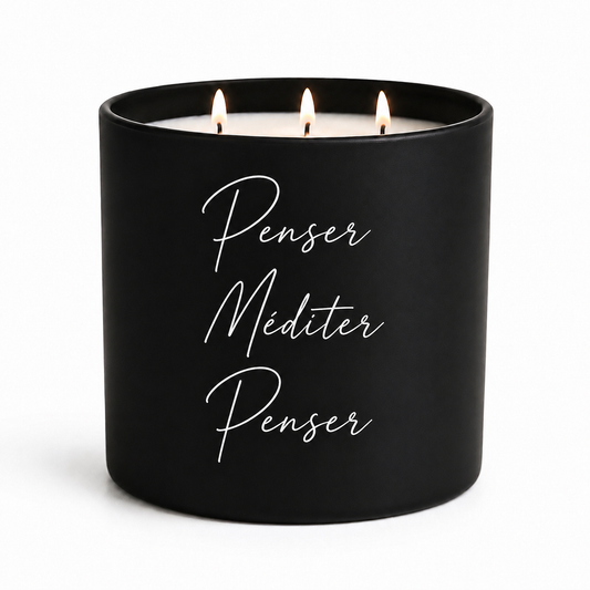 Penser méditer penser